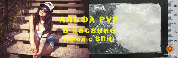 хмурый Белокуриха