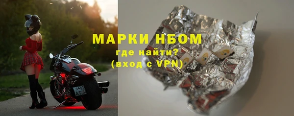 хмурый Белокуриха