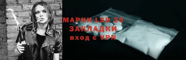 хмурый Белокуриха