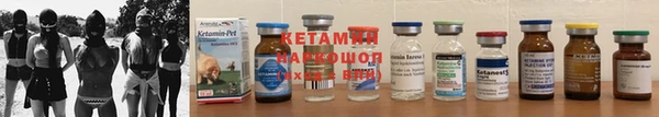 хмурый Белокуриха