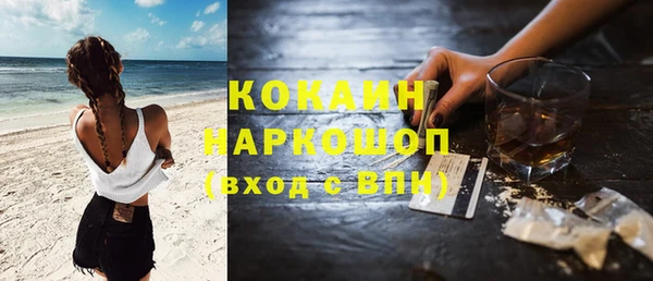 хмурый Белокуриха