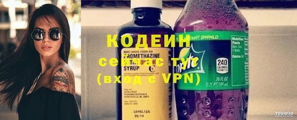 хмурый Белокуриха